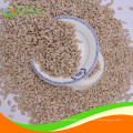 Bakery grade sunflower seeds kernel